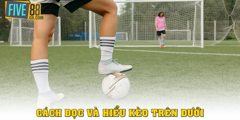 Cách đọc và hiểu kèo trên dưới