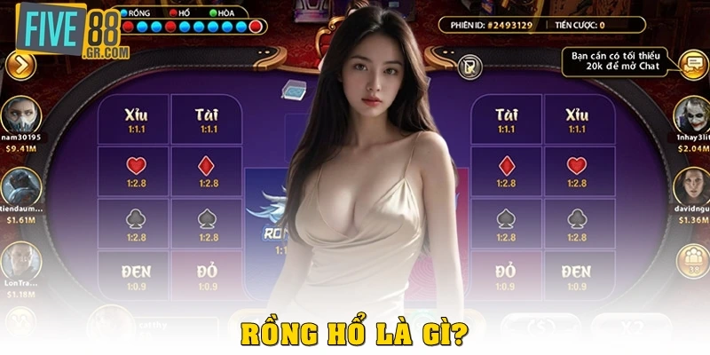 Rồng Hổ là gì?
